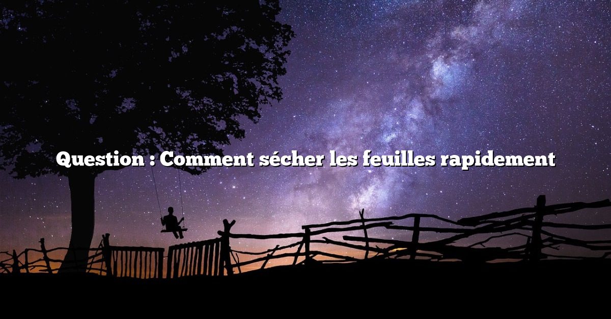 Question : Comment sécher les feuilles rapidement
